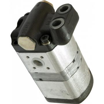 Pompe Hydraulique Bosch 0510425309 pour Fiat / New Holland 250 311 312-850 70-66