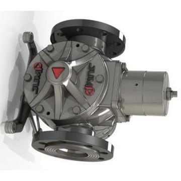 Pompe Hydraulique Direction à Palette Pour Fiat Ducato 2 II 230 4007.C9