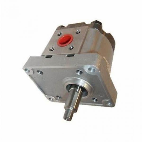 NEW PARKER HYDRAULICS PGP350 PGM350 323-9281-033 GEAR PUMP MOTOR #1 image