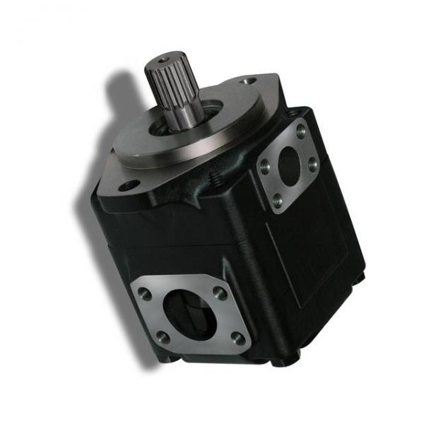 Hydraulic Gear Pump - JCB 506B TH Part # 20/902400 Main Pump #2 image