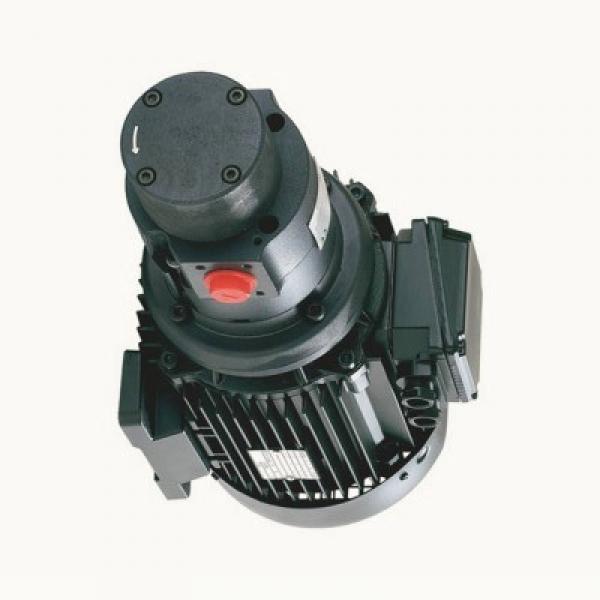 Genuine Parker/JCB 3CX Twin hydraulic pump 20/911200  41 + 29cc/rev  Made in EU #2 image