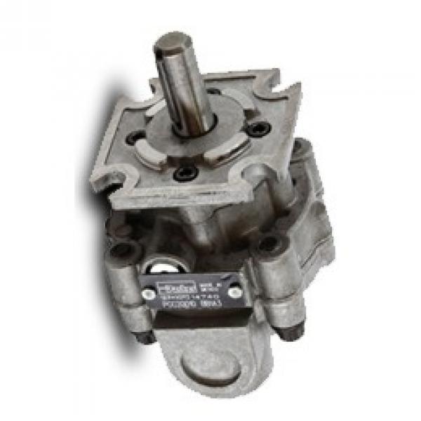 Genuine Parker/JCB Loadall Twin hydraulic pump 20/925592 Made in EU #1 image