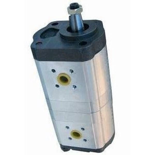 Pompe Hydraulique Bosch 0510525360 pour New Holland TL 70 80 90 100 #1 image