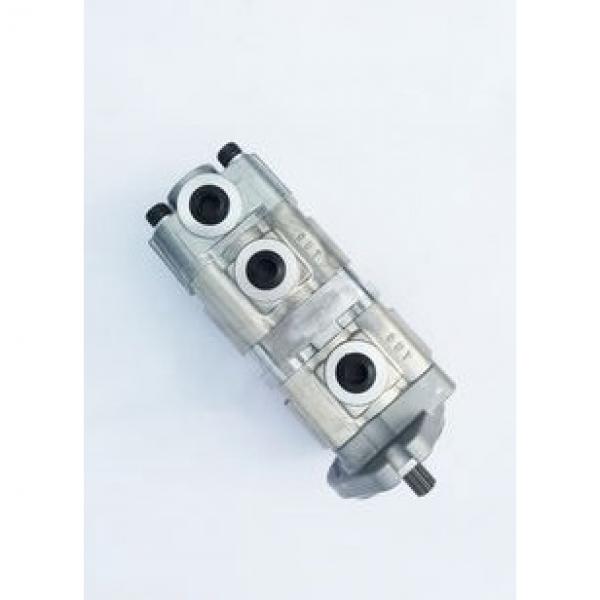 DT466E LUK Hydraulic Power Steering Pump LF73C Part# 2005337C91 2107611 163 BAR #1 image